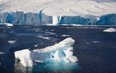 Swiss Ice Swimmers Prepare for Historic Antarctic Challenge