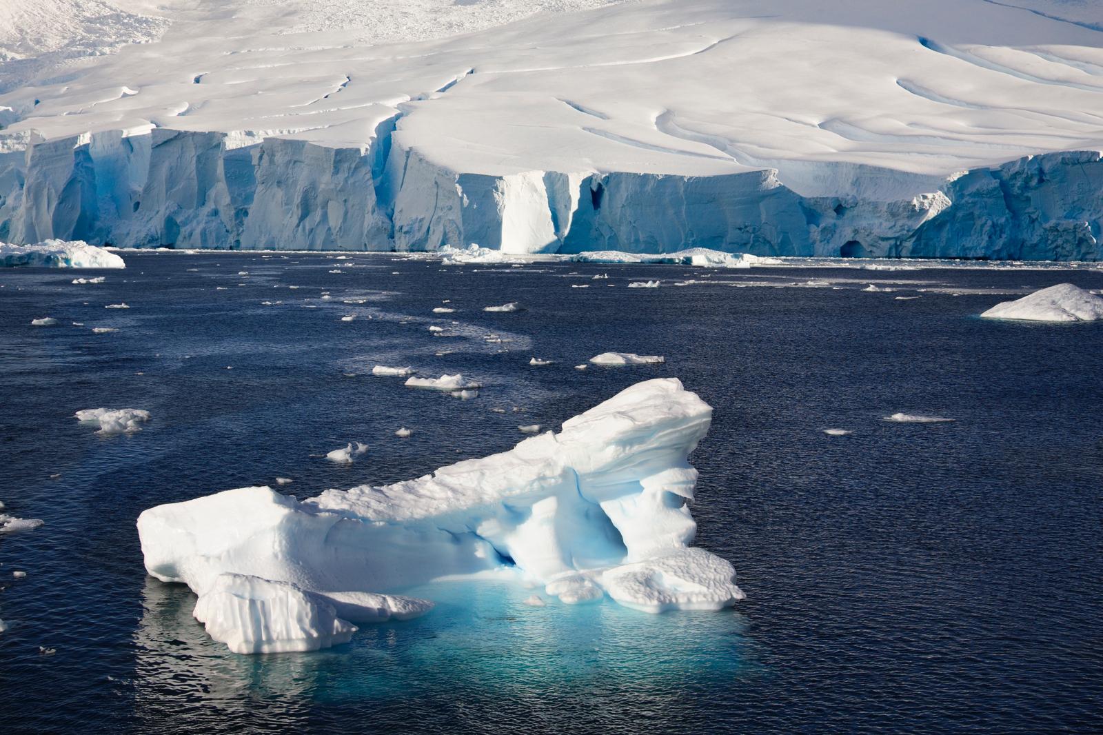 Swiss Ice Swimmers take on Antarctic Challenge